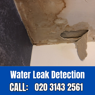 Expert Water Leak Detection Services in Chelsea | Chelsea Leak Detection